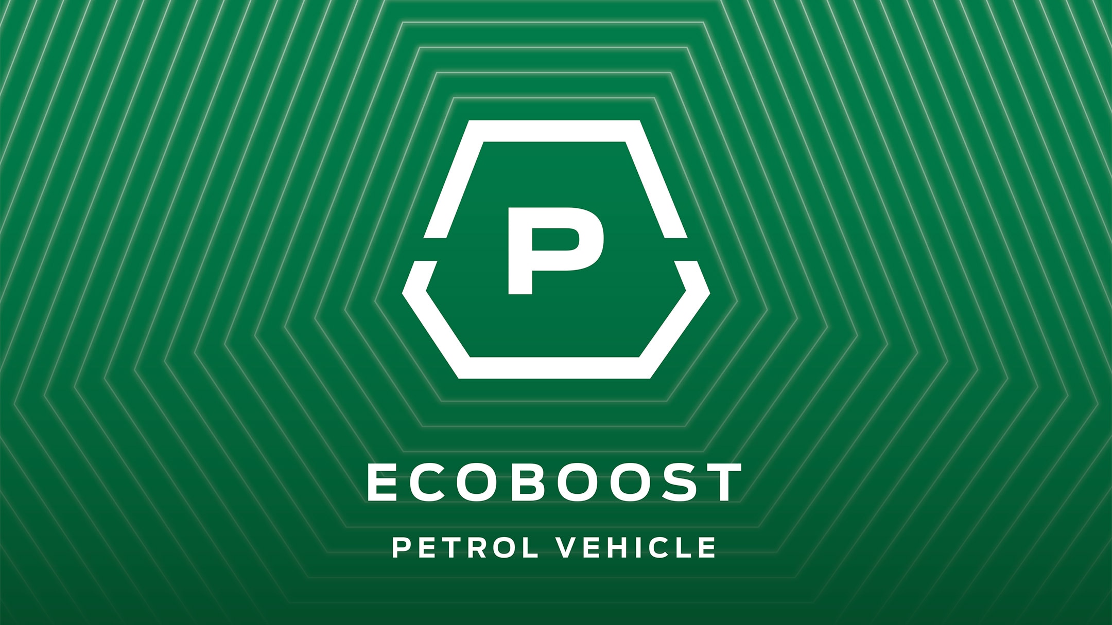 Ecoboost benzin icon